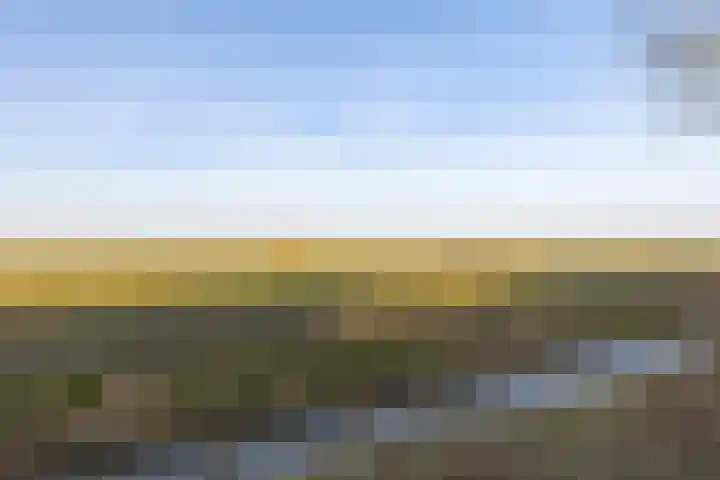 Nieuwebildtdijk 300 St.-Annaparochie thumbnail 43