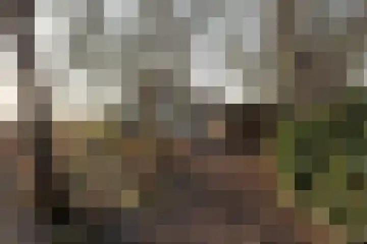 Nieuwebildtdijk 300 St.-Annaparochie thumbnail 5