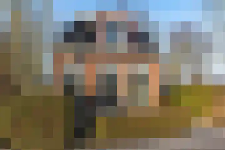 Nieuwebildtdijk 300 St.-Annaparochie thumbnail 6