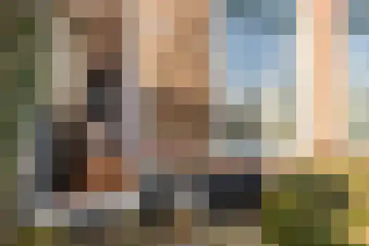 Nieuwebildtdijk 300 St.-Annaparochie thumbnail 8
