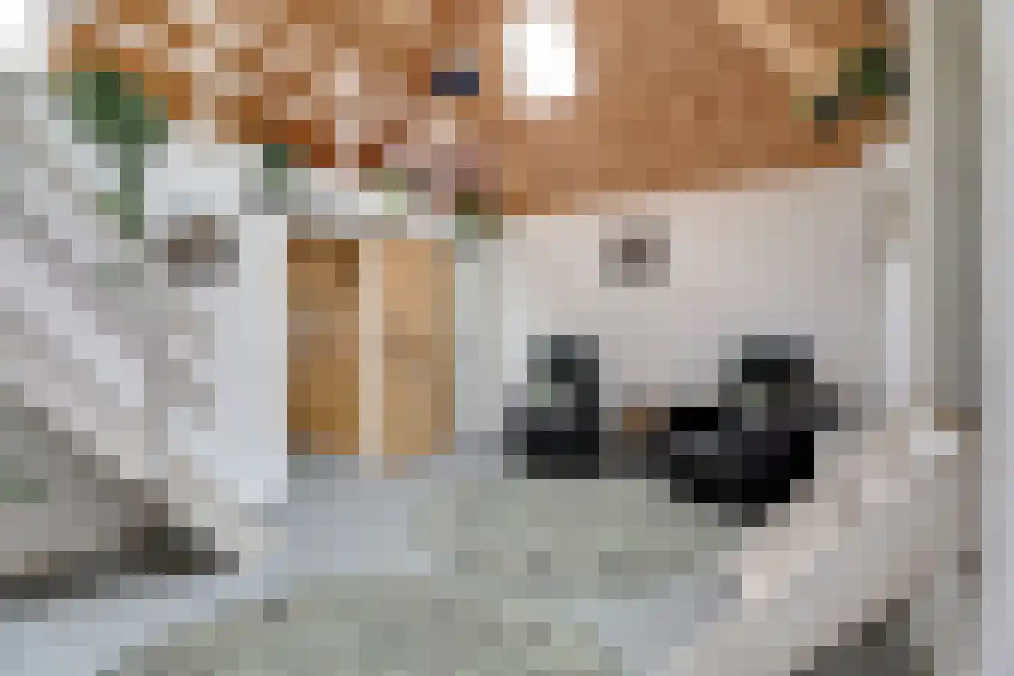 Nieuwebildtdijk 420 St.-Jacobiparochie thumbnail 10