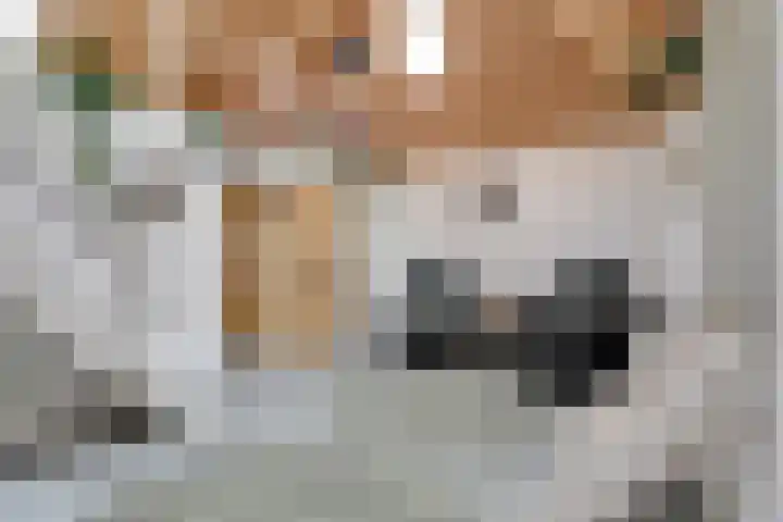 Nieuwebildtdijk 420 St.-Jacobiparochie thumbnail 10