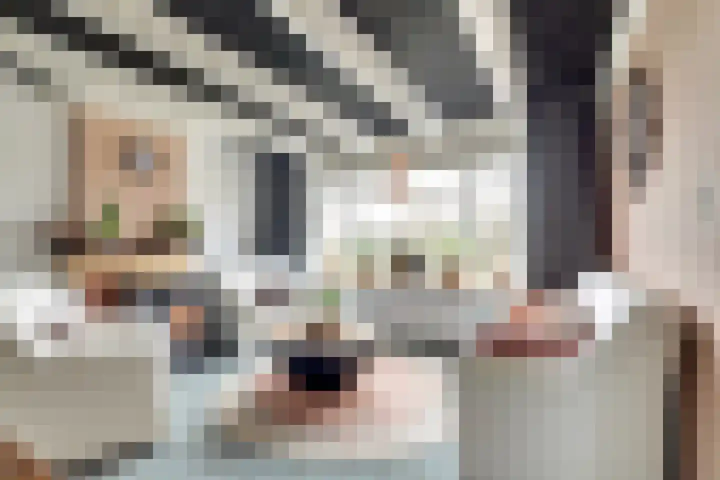 Nieuwebildtdijk 420 St.-Jacobiparochie thumbnail 14