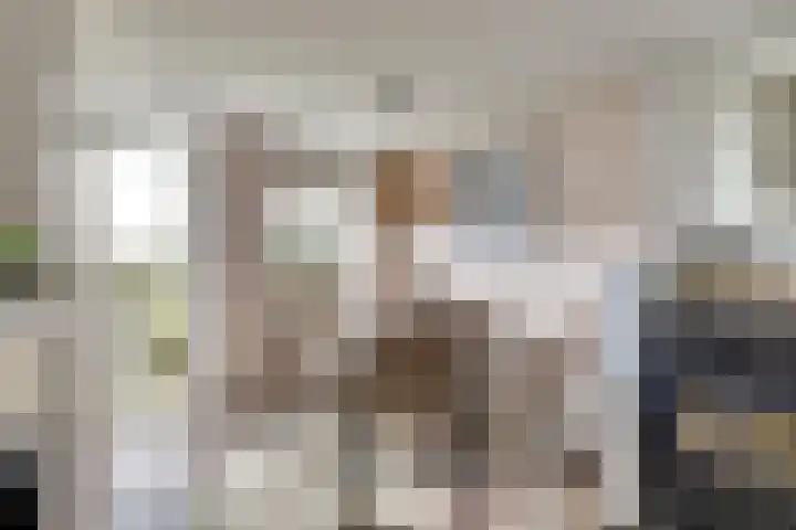 Nieuwebildtdijk 420 St.-Jacobiparochie thumbnail 18