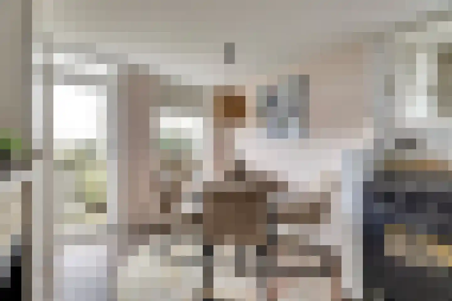 Nieuwebildtdijk 420 St.-Jacobiparochie thumbnail 18