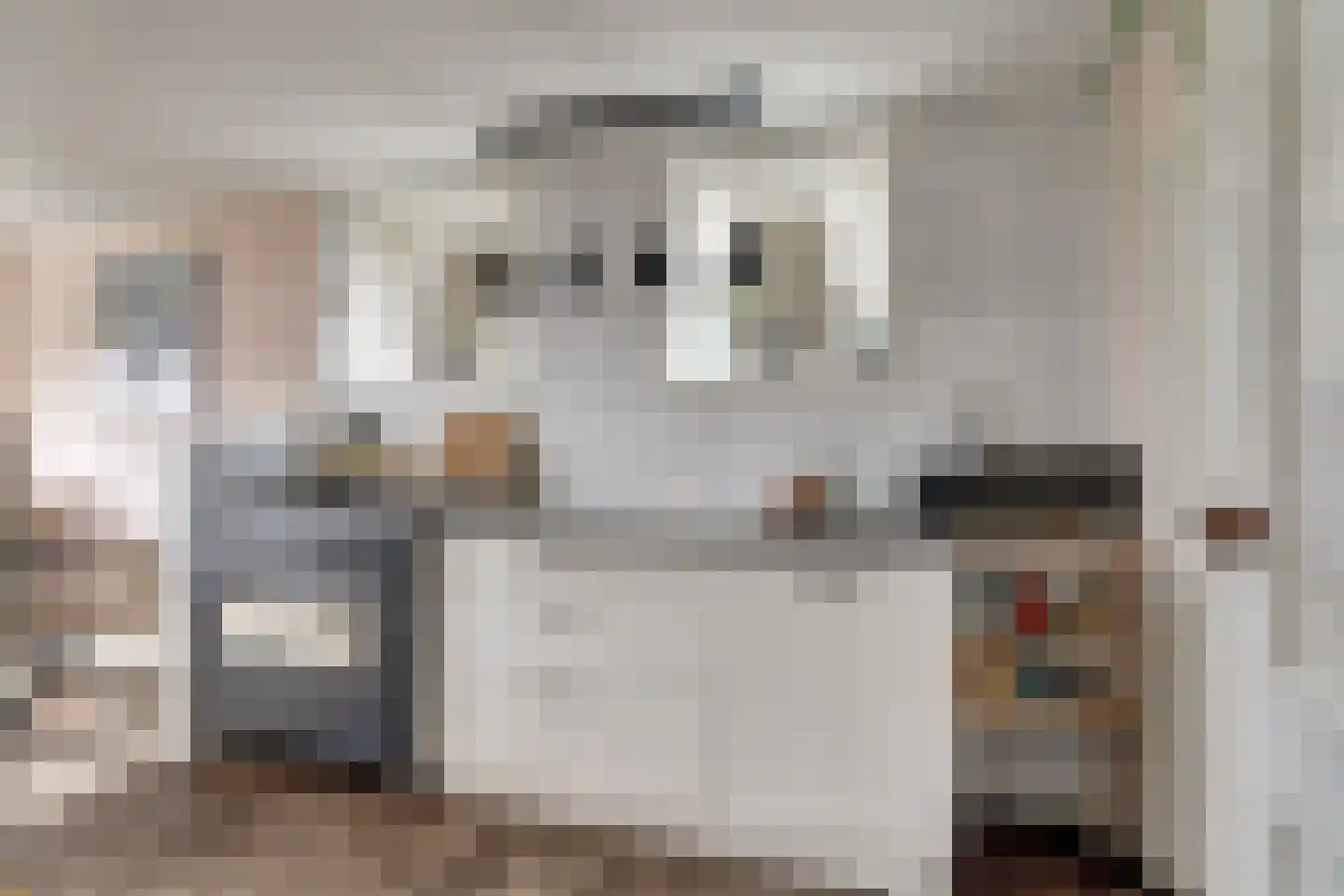 Nieuwebildtdijk 420 St.-Jacobiparochie thumbnail 20