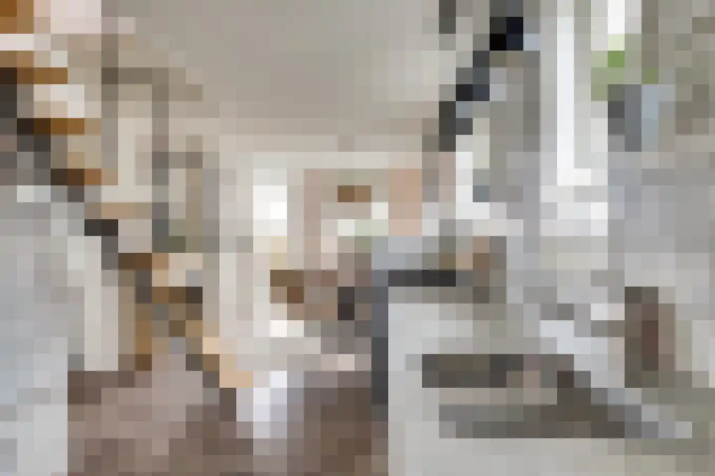 Nieuwebildtdijk 420 St.-Jacobiparochie thumbnail 21