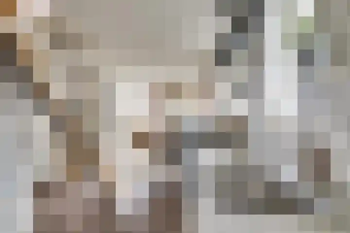 Nieuwebildtdijk 420 St.-Jacobiparochie thumbnail 21