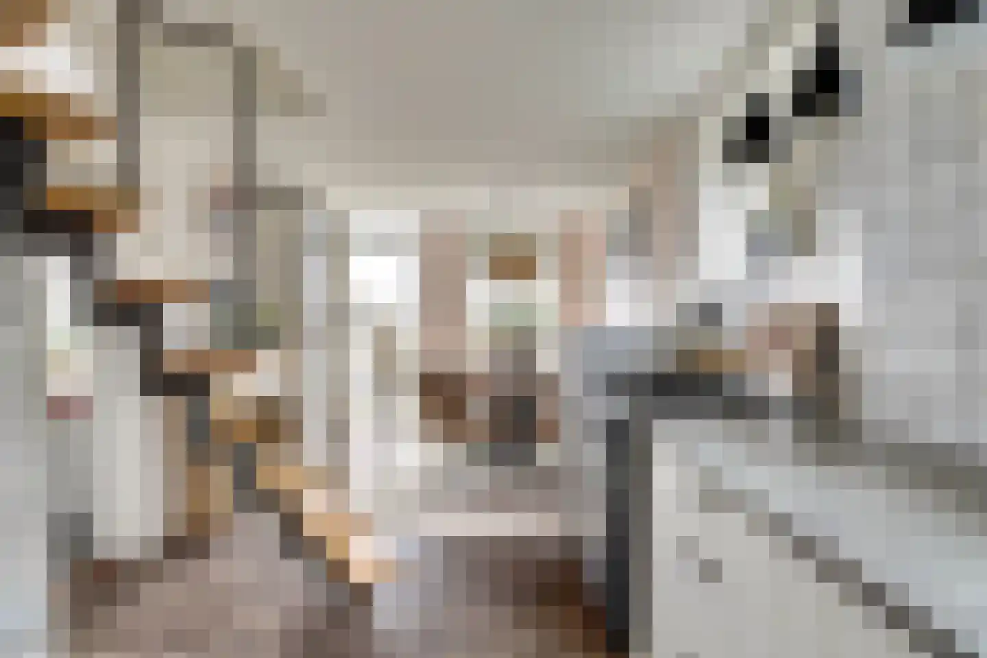 Nieuwebildtdijk 420 St.-Jacobiparochie thumbnail 22