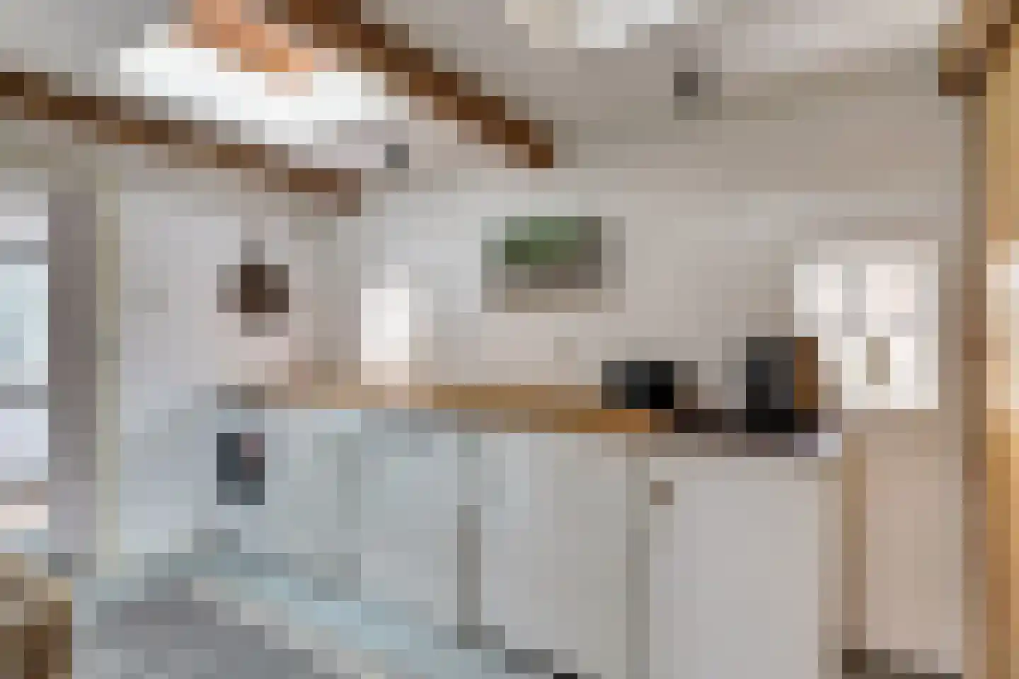 Nieuwebildtdijk 420 St.-Jacobiparochie thumbnail 24