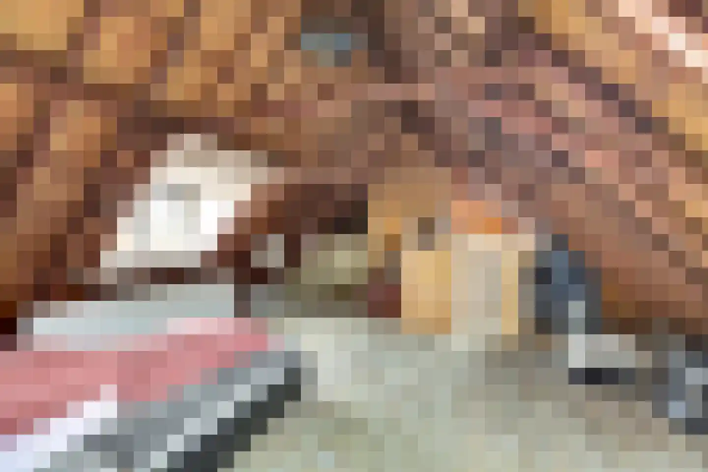 Nieuwebildtdijk 420 St.-Jacobiparochie thumbnail 27