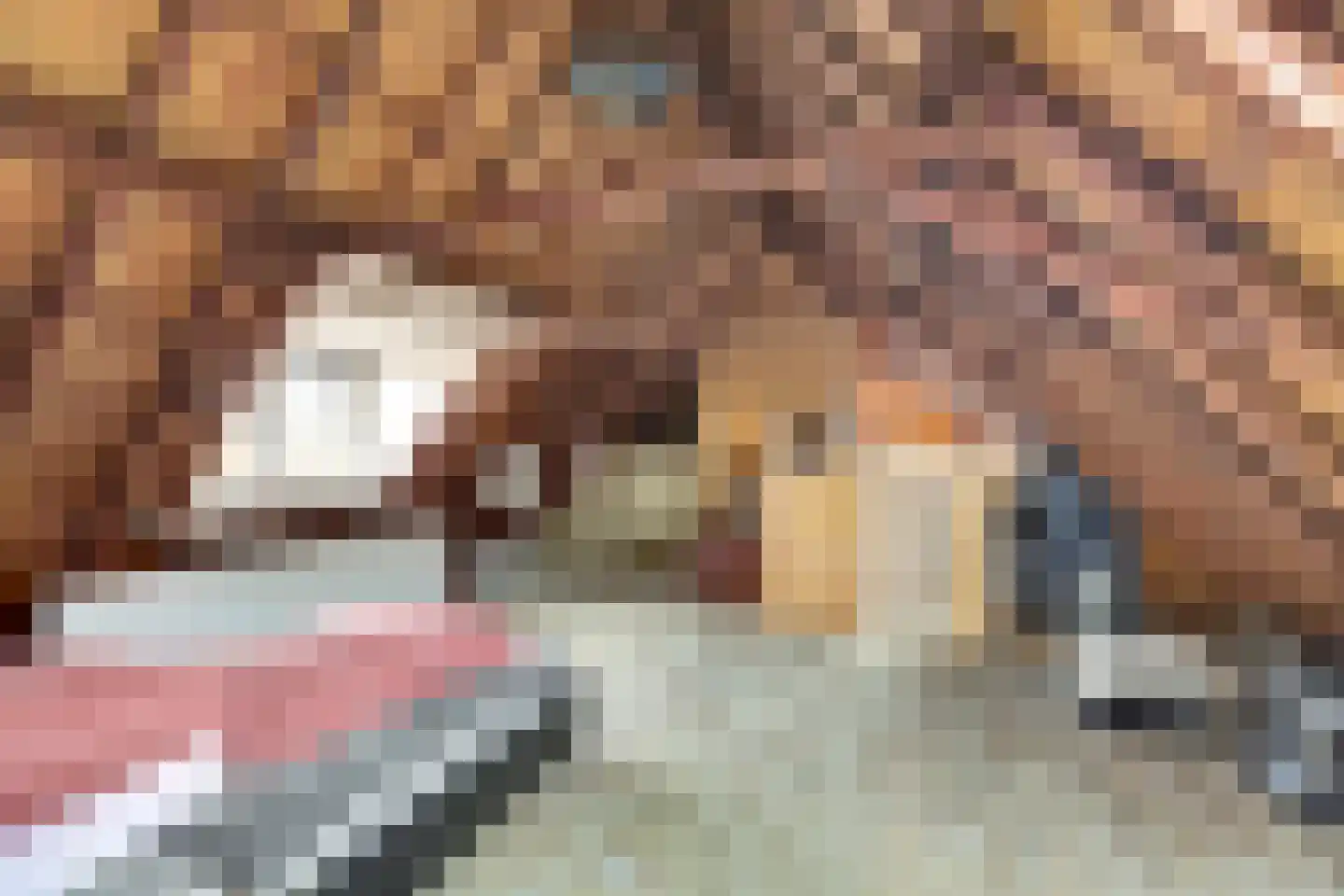 Nieuwebildtdijk 420 St.-Jacobiparochie thumbnail 27