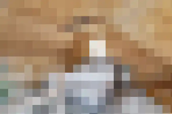 Nieuwebildtdijk 420 St.-Jacobiparochie thumbnail 29