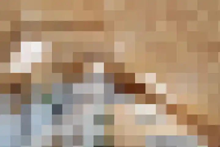Nieuwebildtdijk 420 St.-Jacobiparochie thumbnail 30