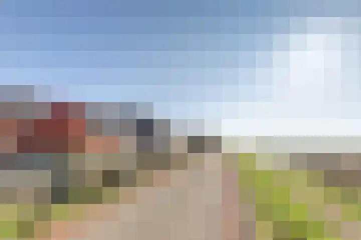 Nieuwebildtdijk 420 St.-Jacobiparochie thumbnail 31