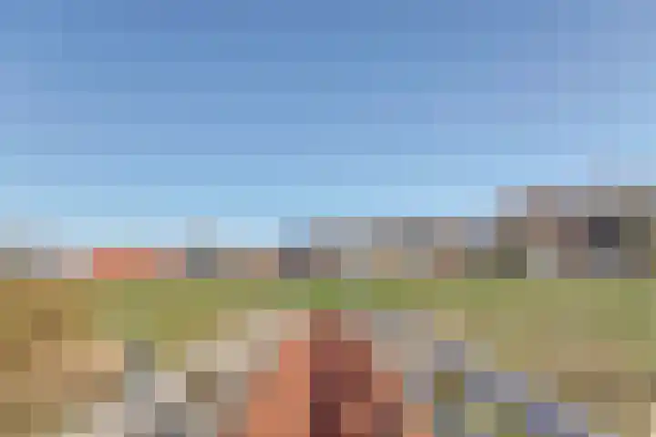 Nieuwebildtdijk 420 St.-Jacobiparochie thumbnail 39