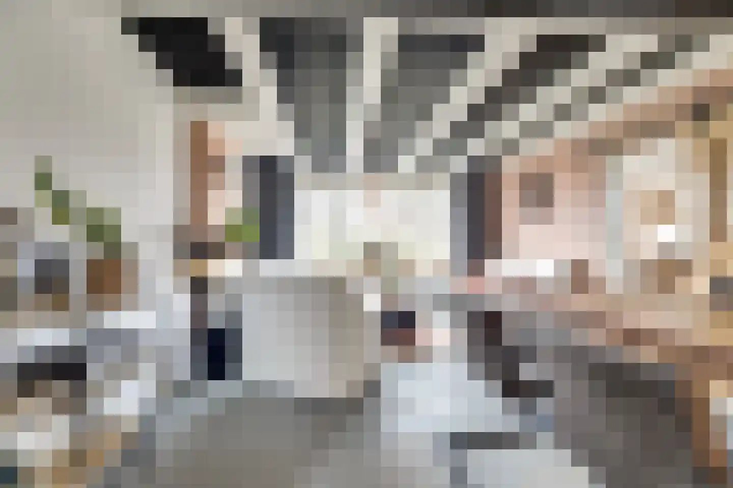 Nieuwebildtdijk 420 St.-Jacobiparochie thumbnail 4