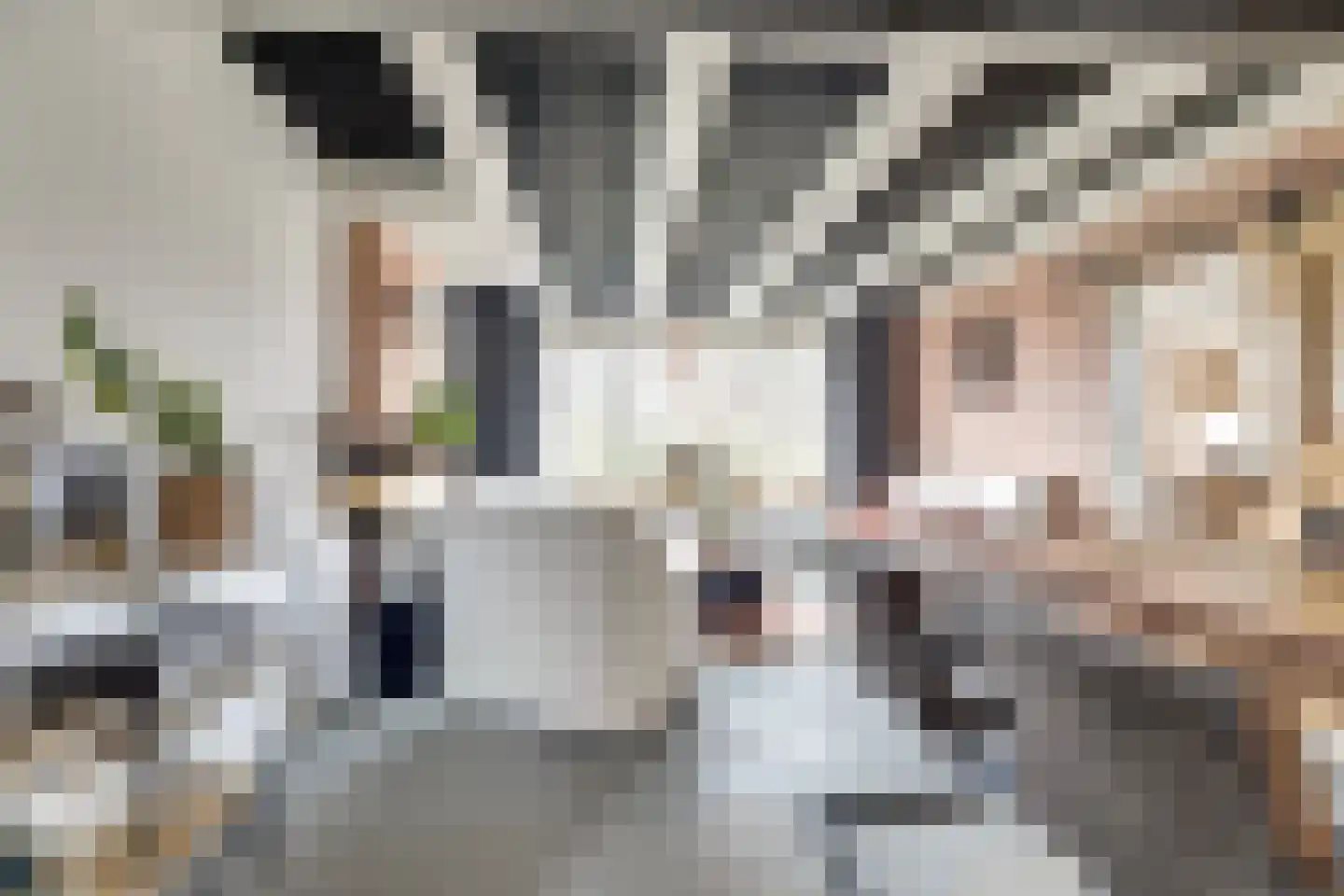 Nieuwebildtdijk 420 St.-Jacobiparochie thumbnail 4