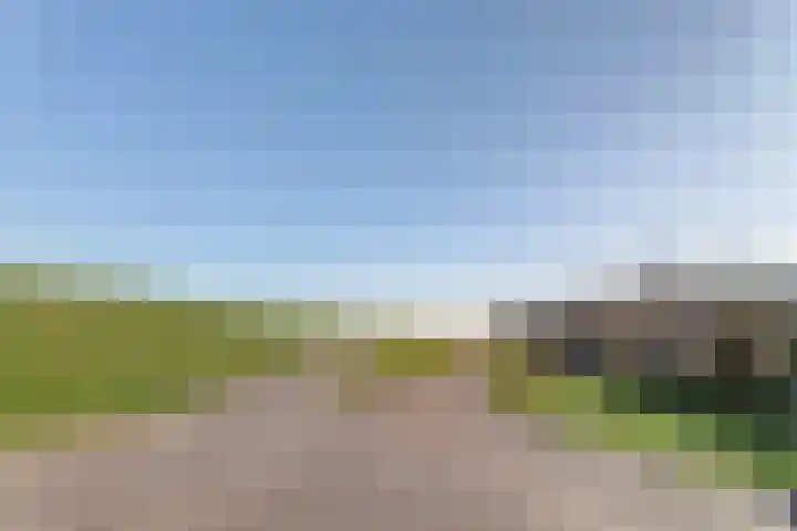 Nieuwebildtdijk 420 St.-Jacobiparochie thumbnail 40