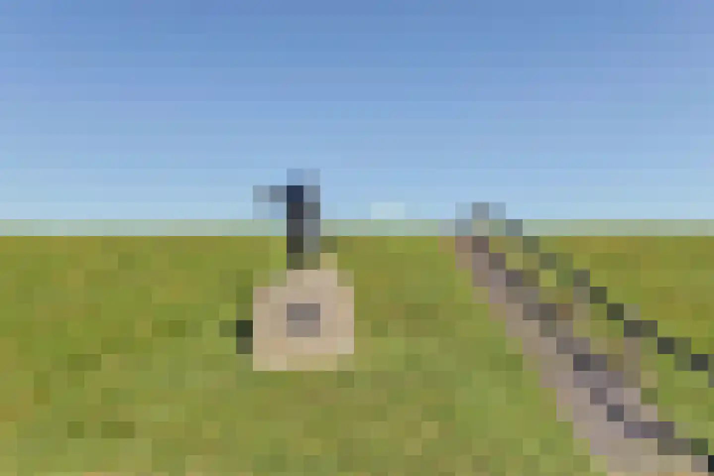 Nieuwebildtdijk 420 St.-Jacobiparochie thumbnail 41