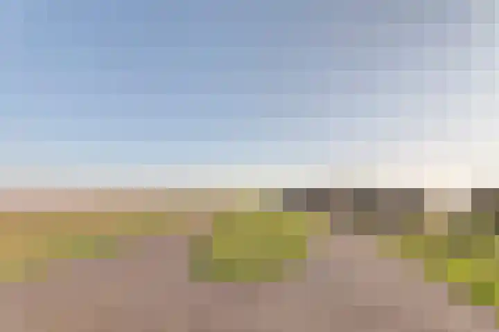 Nieuwebildtdijk 420 St.-Jacobiparochie thumbnail 46