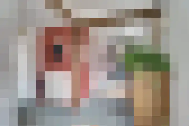 Nieuwebildtdijk 420 St.-Jacobiparochie thumbnail 6