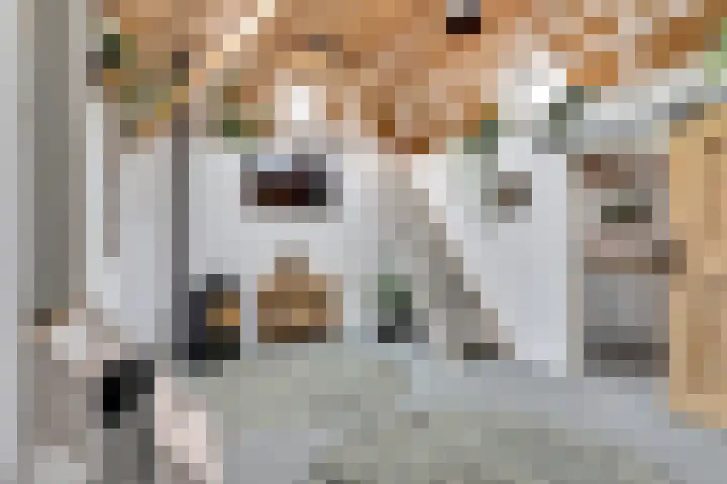 Nieuwebildtdijk 420 St.-Jacobiparochie thumbnail 8