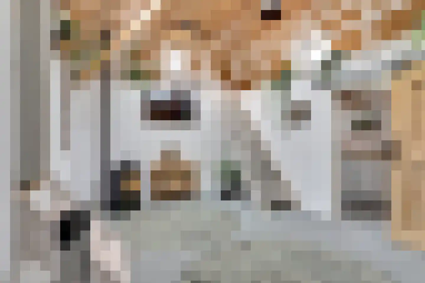 Nieuwebildtdijk 420 St.-Jacobiparochie thumbnail 8