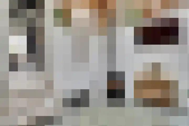 Nieuwebildtdijk 420 St.-Jacobiparochie thumbnail 9