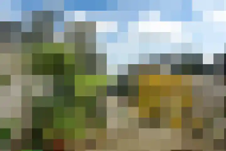 Nieuwebildtdijk 52 Oudebildtzijl thumbnail 23