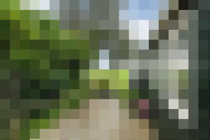 Nieuwebildtdijk 52 Oudebildtzijl thumbnail 25