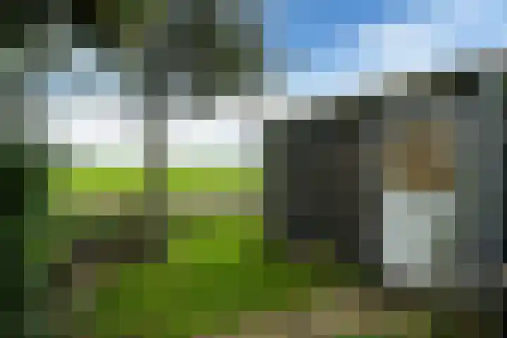 Nieuwebildtdijk 52 Oudebildtzijl thumbnail 27