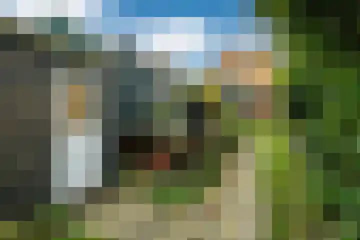 Nieuwebildtdijk 52 Oudebildtzijl thumbnail 29