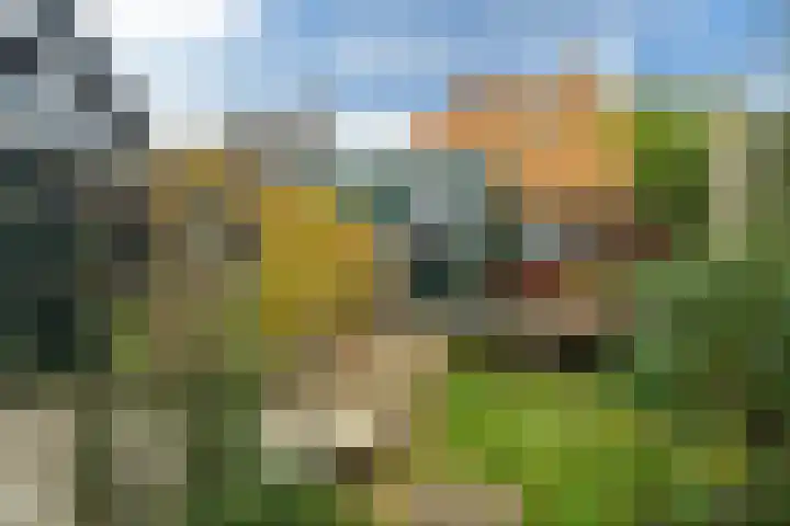 Nieuwebildtdijk 52 Oudebildtzijl thumbnail 30