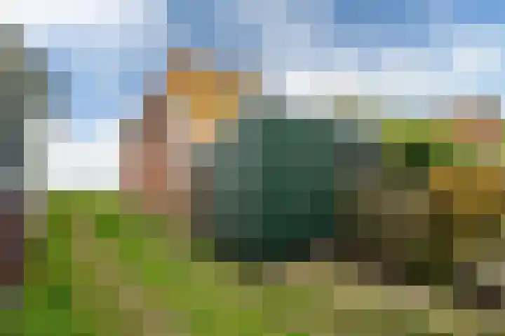 Nieuwebildtdijk 52 Oudebildtzijl thumbnail 31