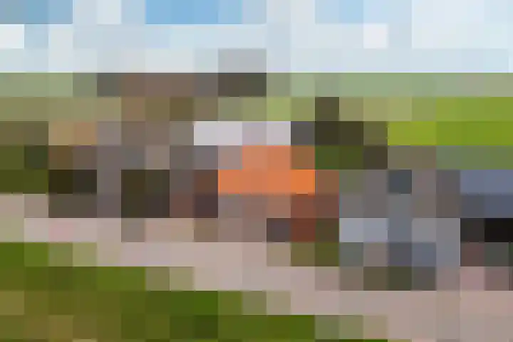 Nieuwebildtdijk 52 Oudebildtzijl thumbnail 34