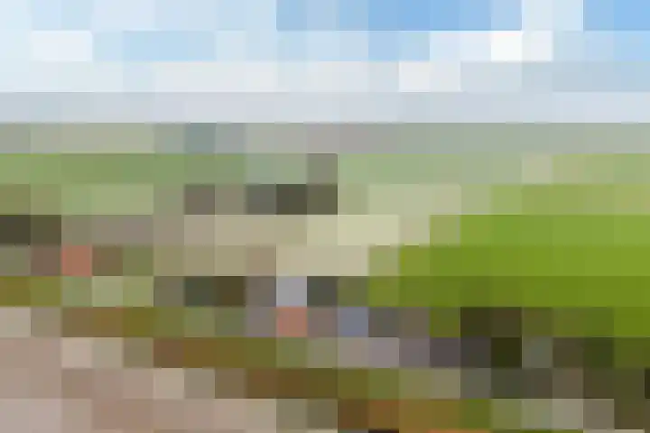 Nieuwebildtdijk 52 Oudebildtzijl thumbnail 36
