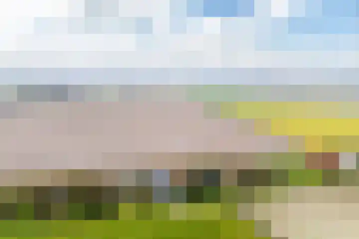Nieuwebildtdijk 52 Oudebildtzijl thumbnail 37