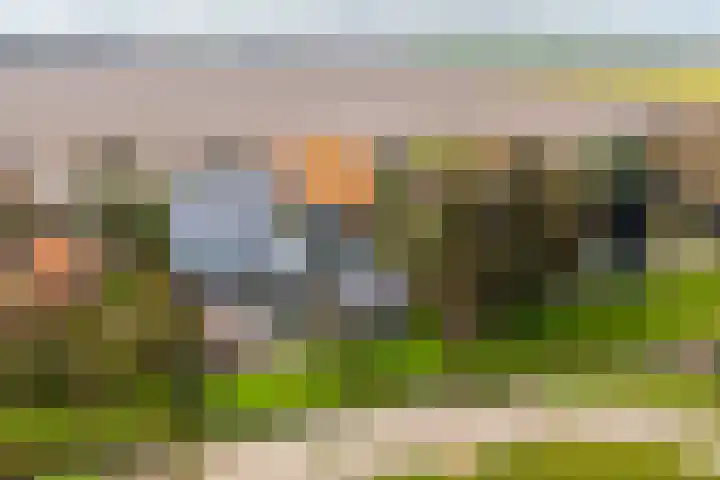 Nieuwebildtdijk 52 Oudebildtzijl thumbnail 4