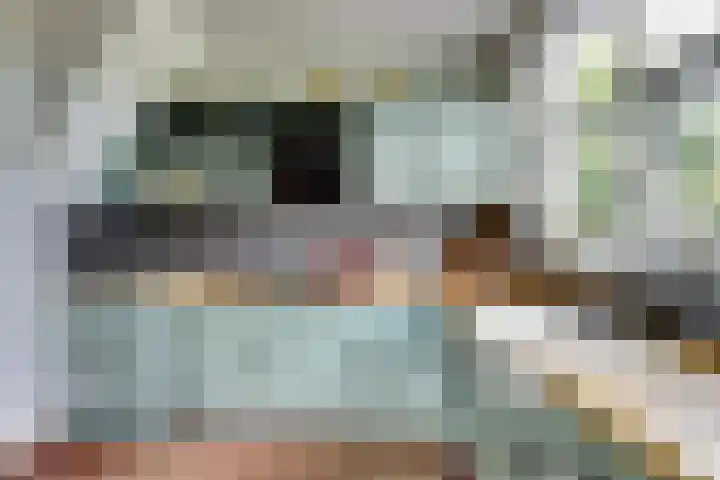 Nieuwebildtdijk 93 Oudebildtzijl thumbnail 12