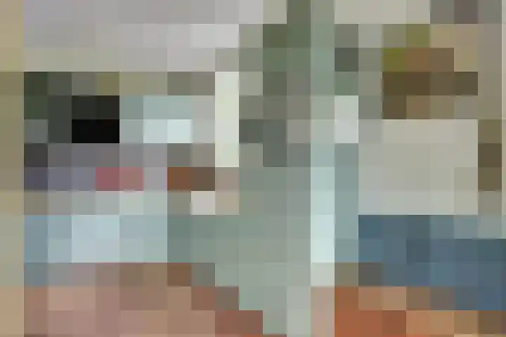 Nieuwebildtdijk 93 Oudebildtzijl thumbnail 13
