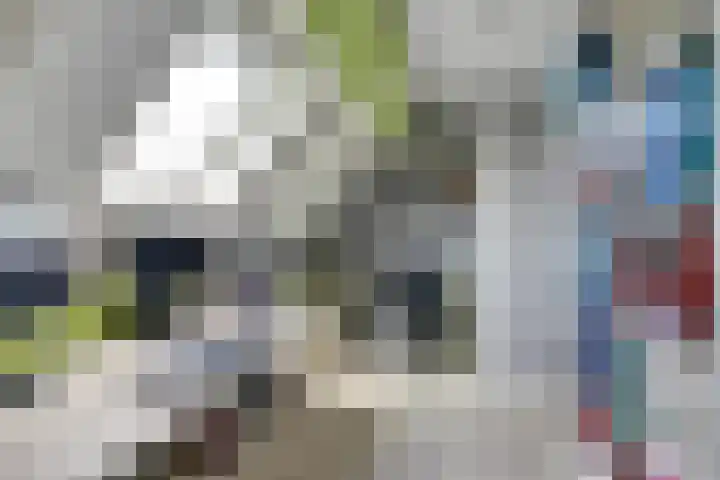 Nieuwebildtdijk 93 Oudebildtzijl thumbnail 18