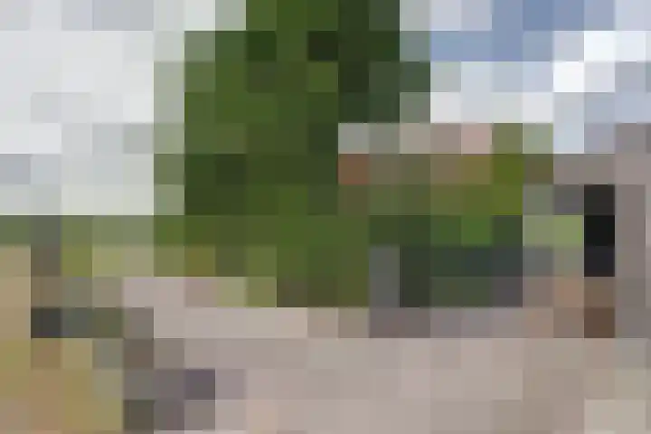 Nieuwebildtdijk 93 Oudebildtzijl thumbnail 27
