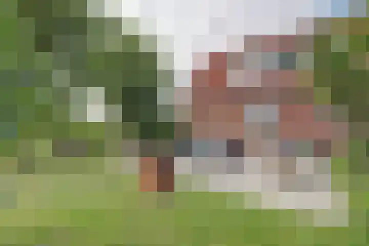 Nieuwebildtdijk 93 Oudebildtzijl thumbnail 29