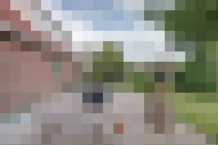 Nieuwebildtdijk 93 Oudebildtzijl thumbnail 30