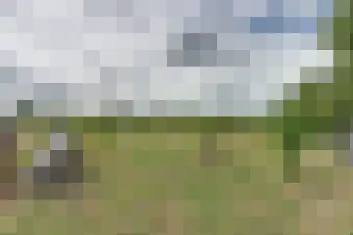 Nieuwebildtdijk 93 Oudebildtzijl thumbnail 31