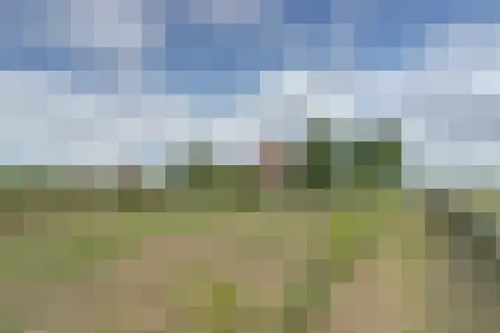 Nieuwebildtdijk 93 Oudebildtzijl thumbnail 32