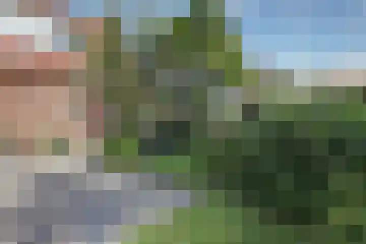 Nieuwebildtdijk 93 Oudebildtzijl thumbnail 33