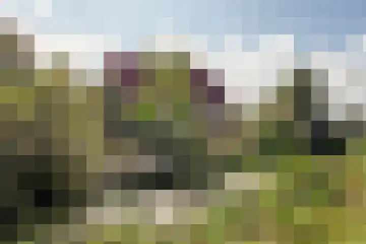 Nieuwebildtdijk 93 Oudebildtzijl thumbnail 34