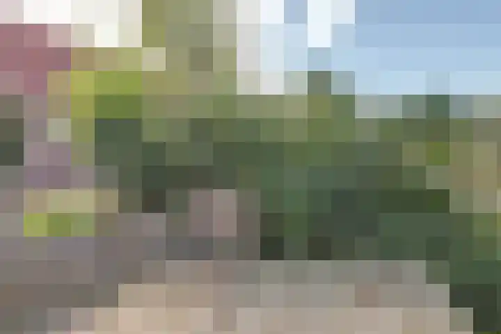 Nieuwebildtdijk 93 Oudebildtzijl thumbnail 36